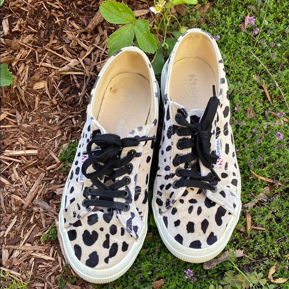 Dalmatian Superga sneakers size 39